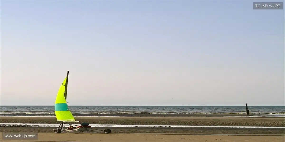 🏆舞台中央的冠军,无可替代的传奇时刻!🔥